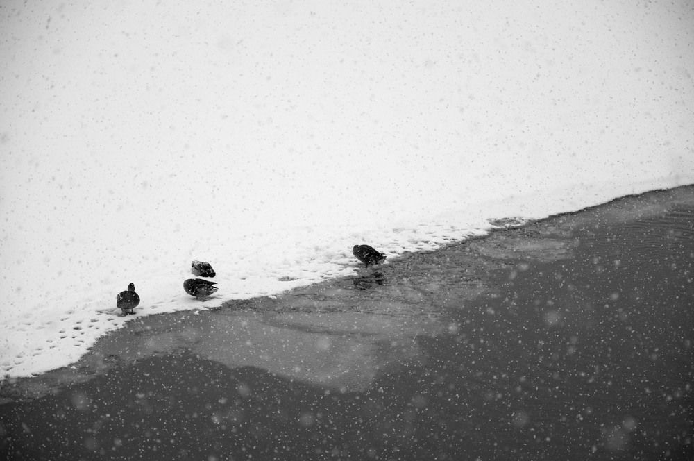 Photograph by Maoqing Che