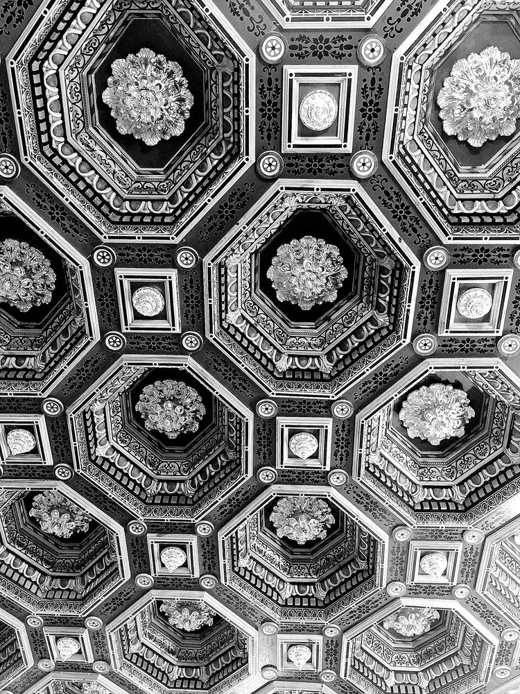 Photograph by Светлана Антонова