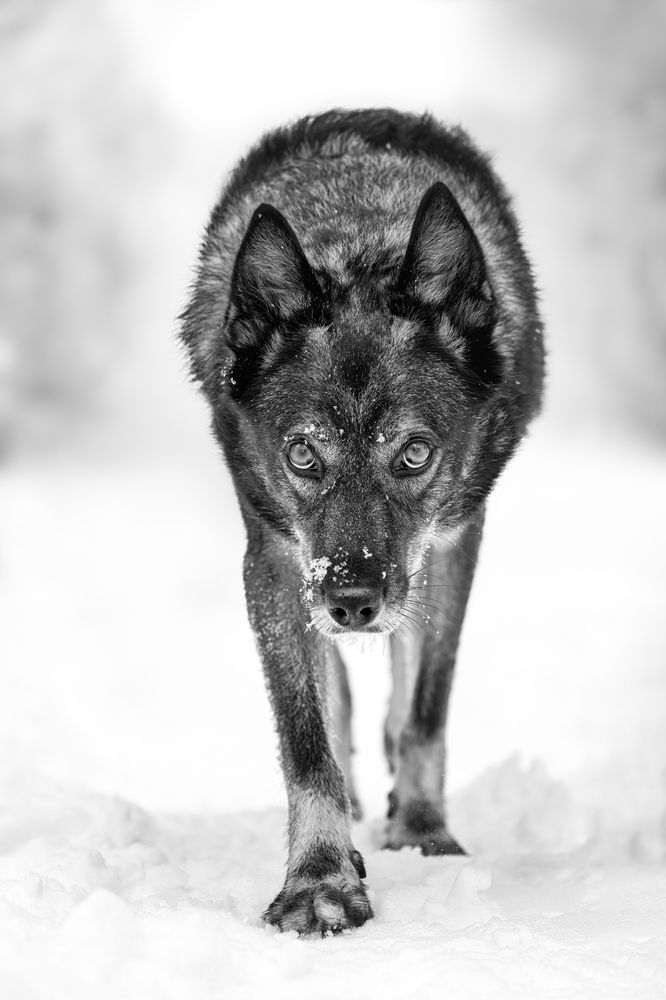 Photograph by IrenRRR