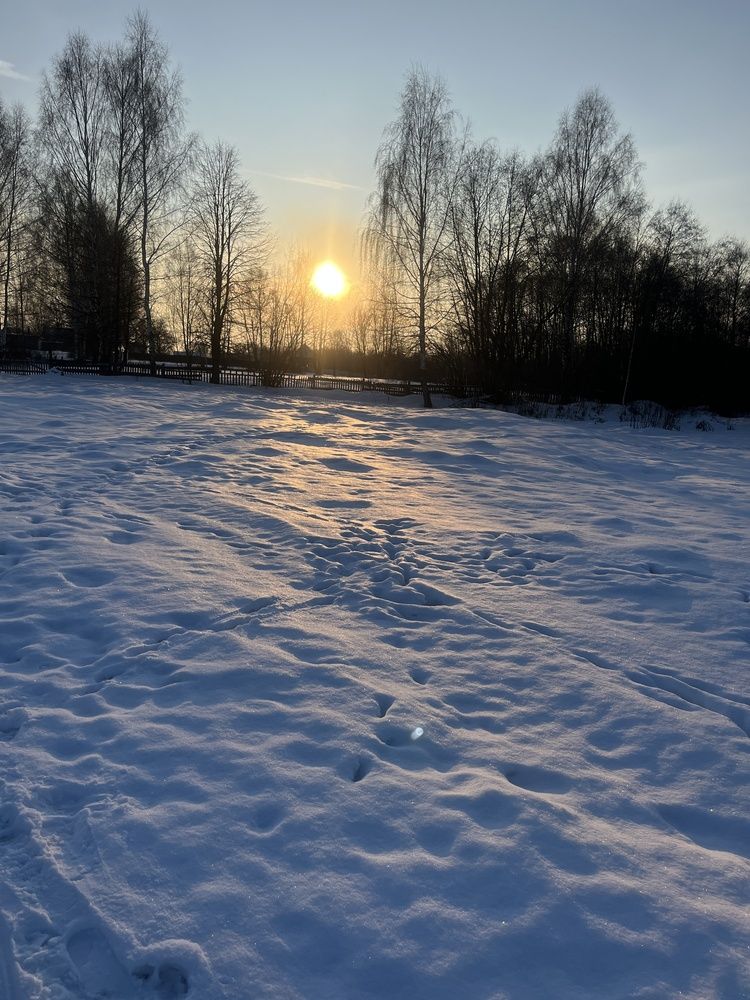 Photograph by Елена Короткова