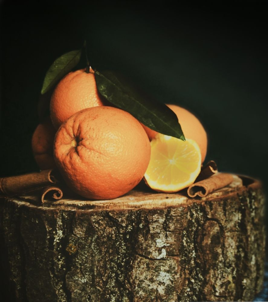 Photograph by Zakaria Kherfane