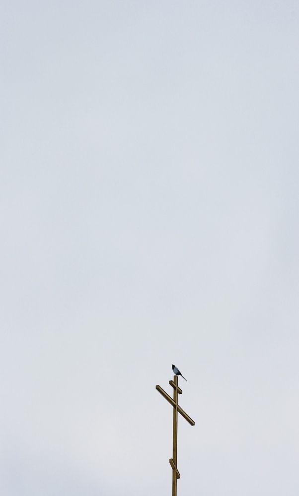 Photograph by Svetlana Kovalchuk