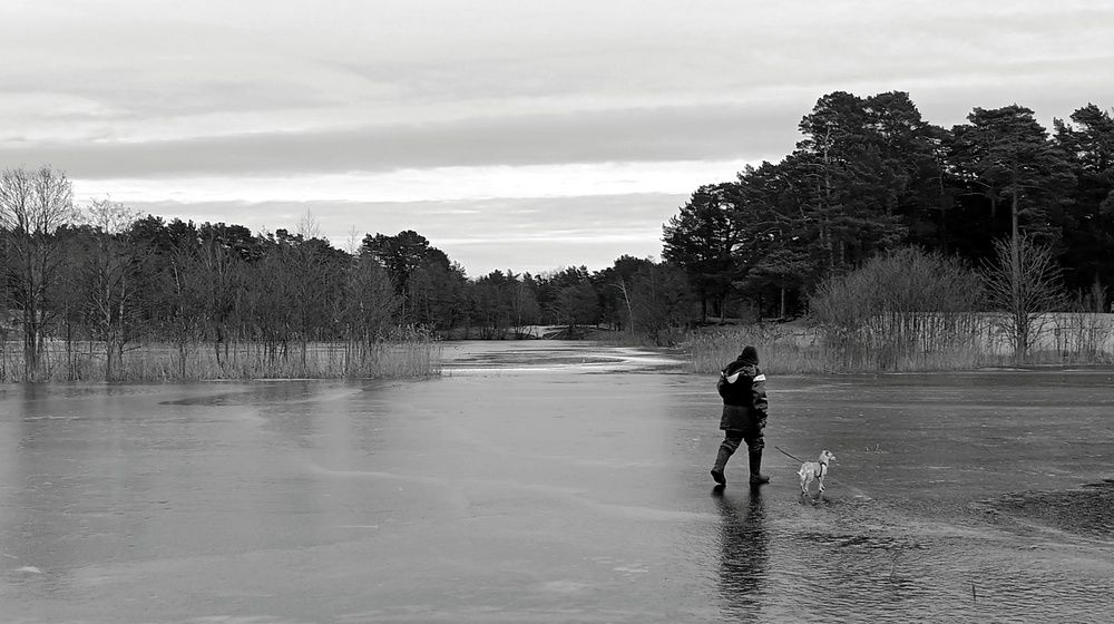 Photo #11863195