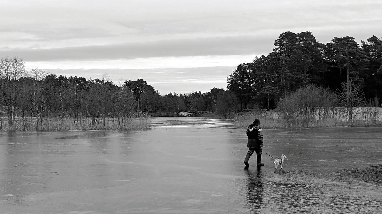 Photo #11863195