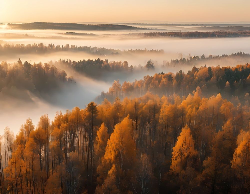 Photograph by Светлана Долганова