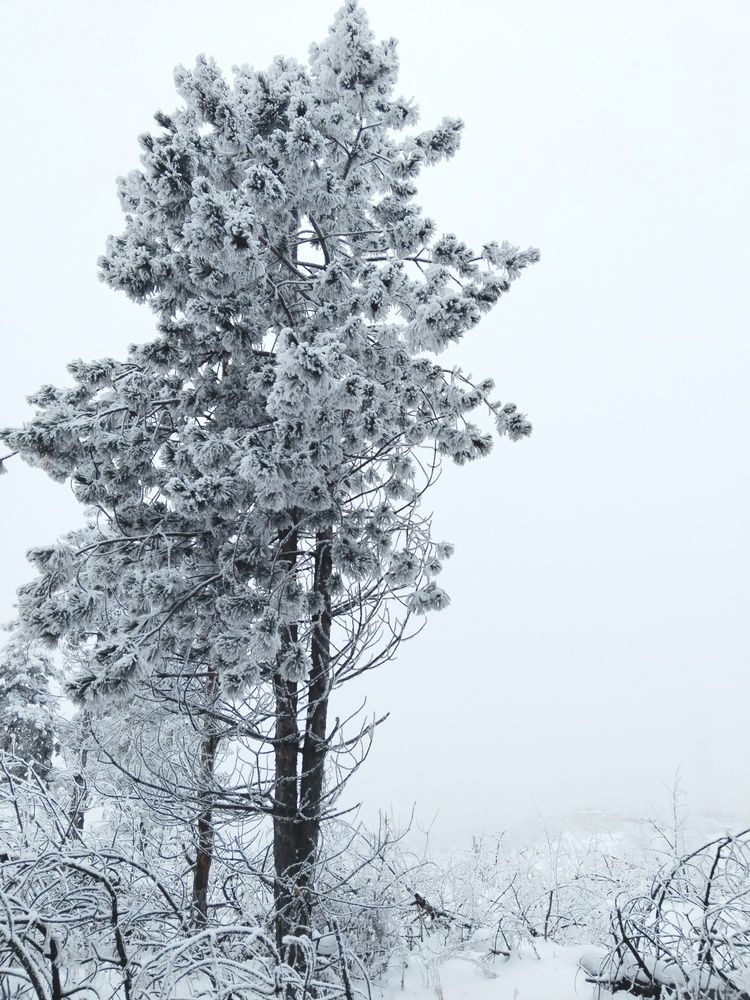Photograph by Ольга Чернова