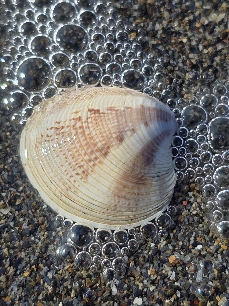 Фотография автора Ольга Костенко