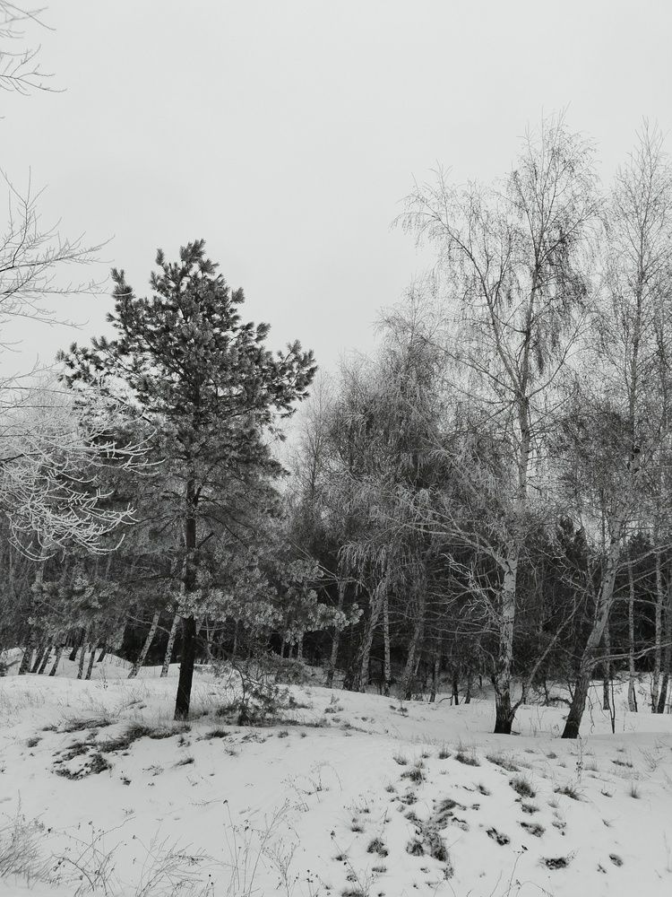 Photograph by Ольга Чернова