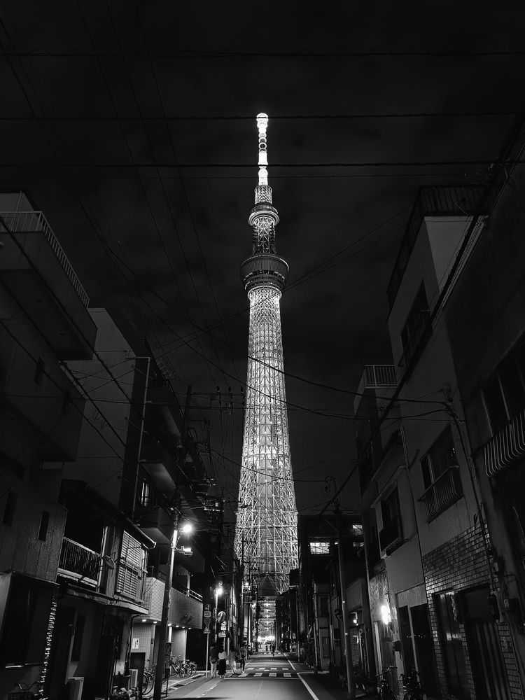 Фотография автора Анастасия Зайчуковская