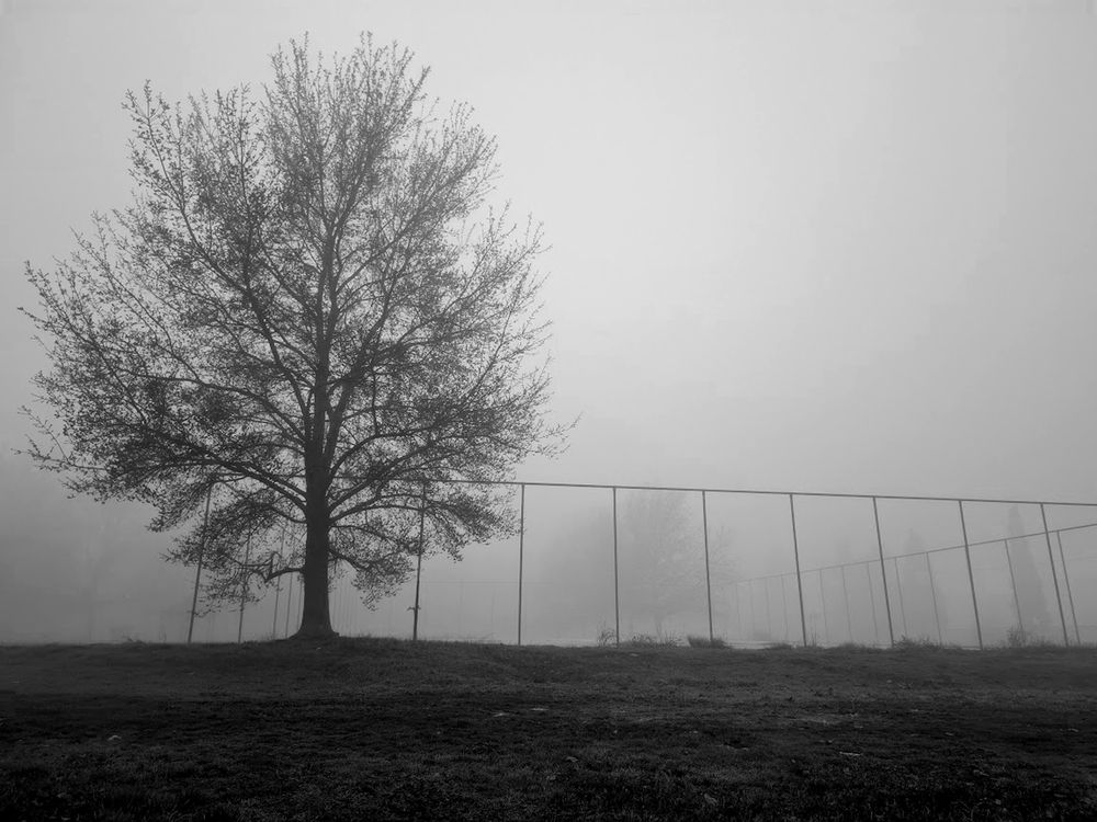 Photograph by MIHALIS KONSTANDINIDIS