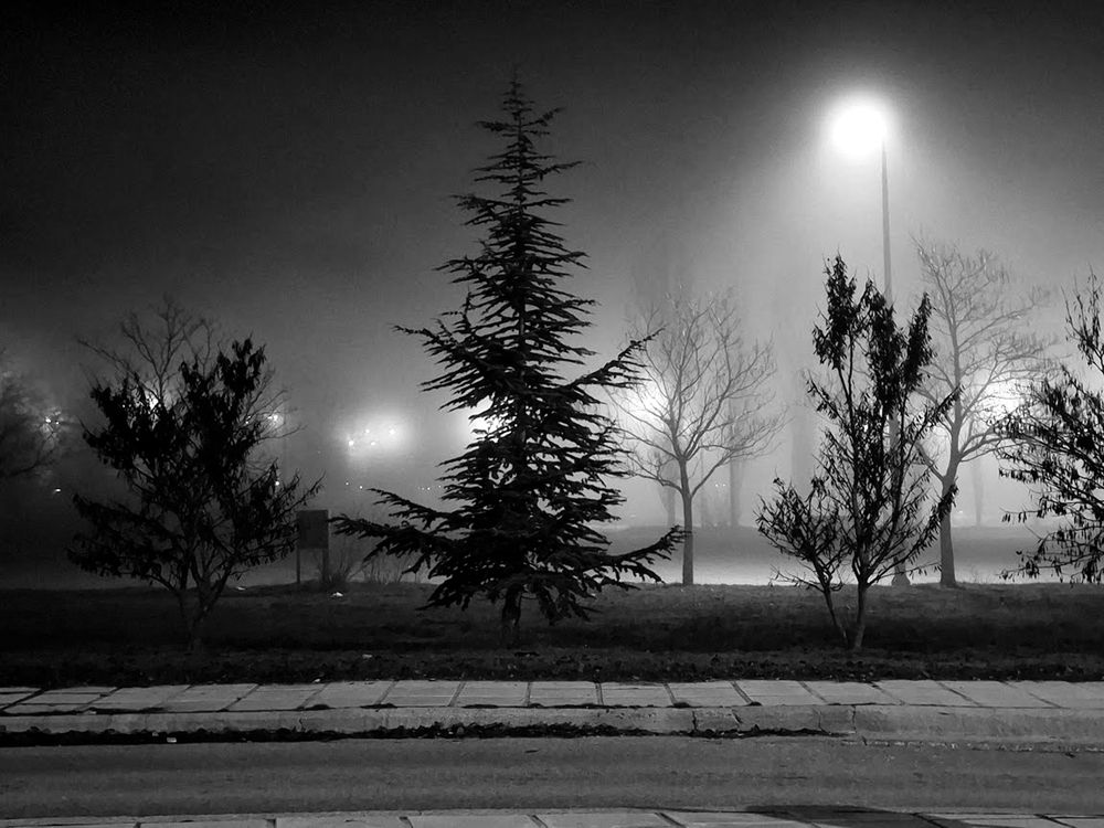 Photograph by MIHALIS KONSTANDINIDIS