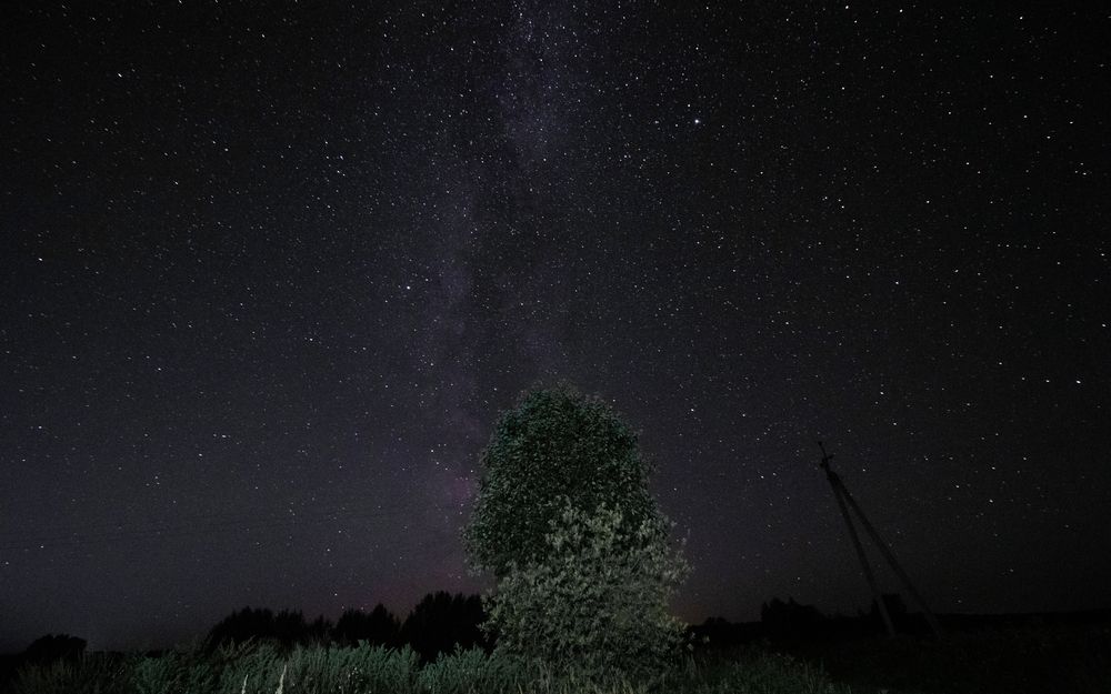 Photograph by Andrey Lesnik