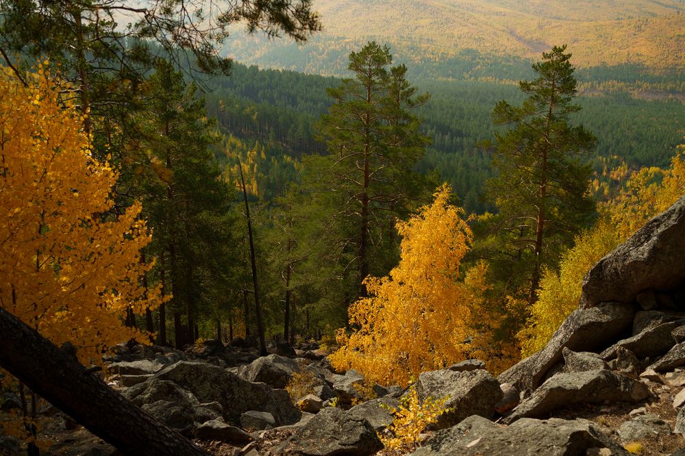 Фотография автора Анна Фисенко