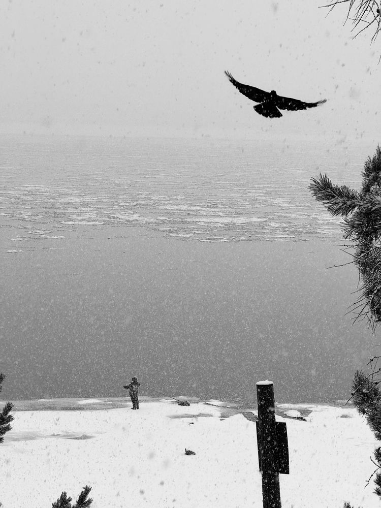 Photograph by Юлия Гридина