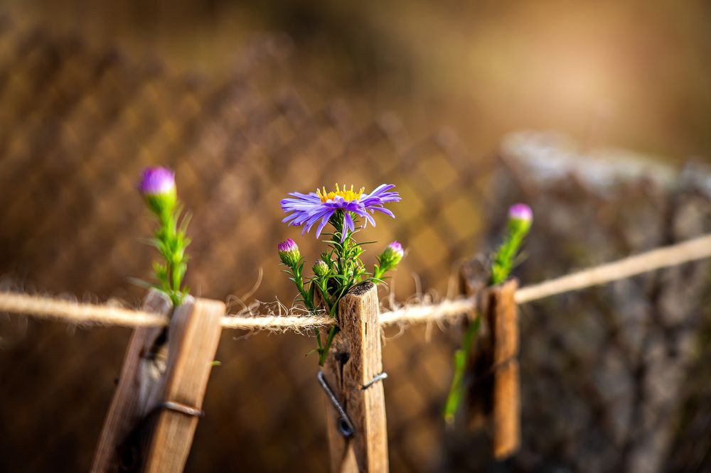 Photograph by Светлана Волкова