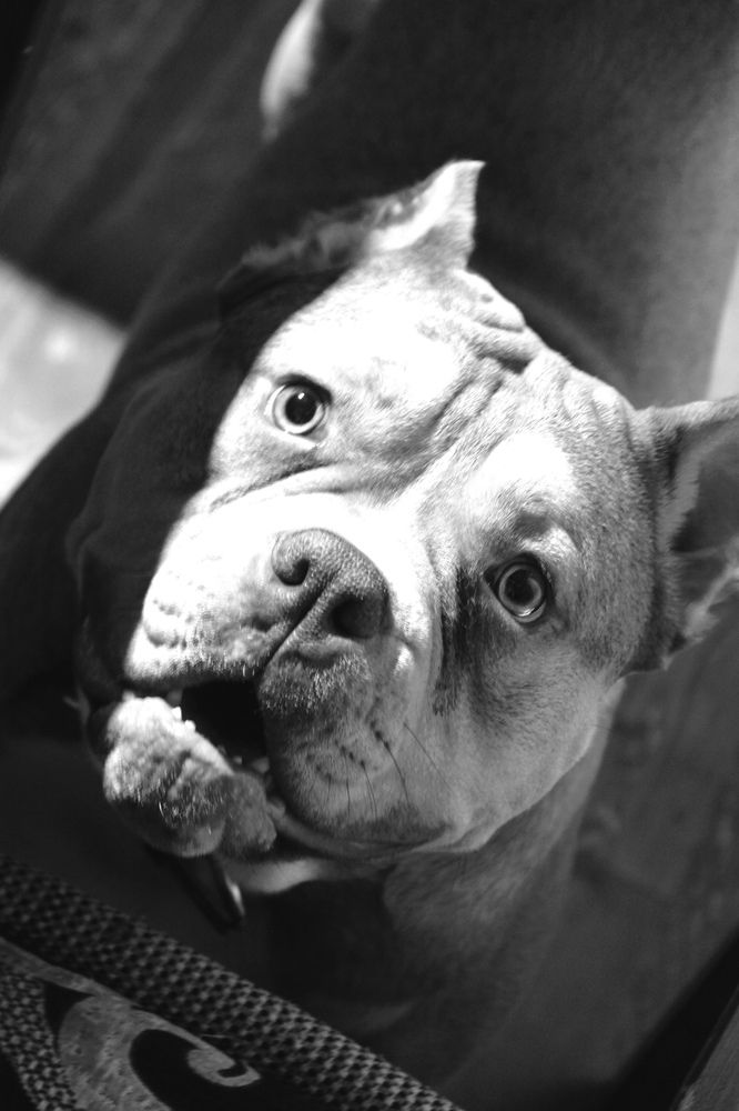 Photograph by Ирина Тихая