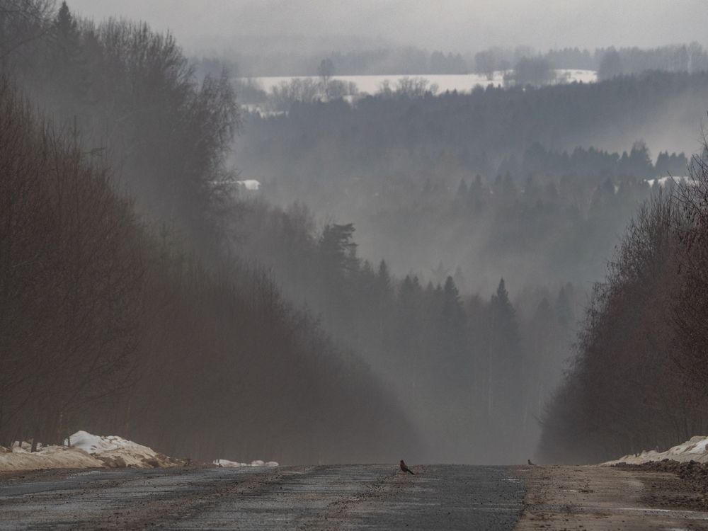 Photograph by Надежда Михайлина