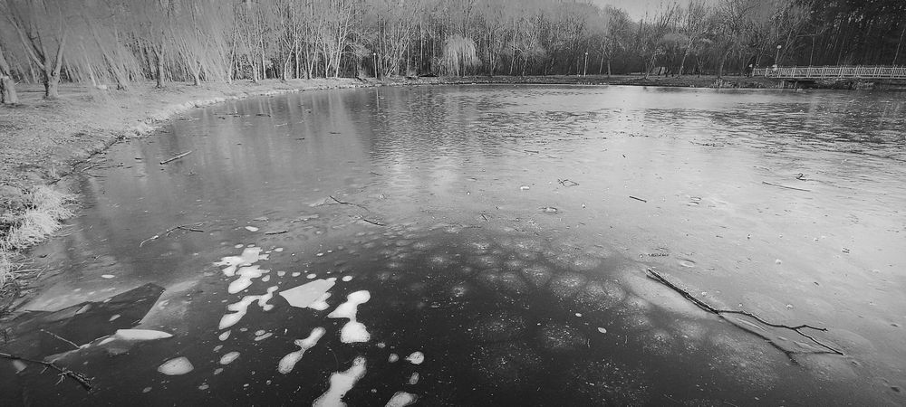 Photograph by Mishel Photographer