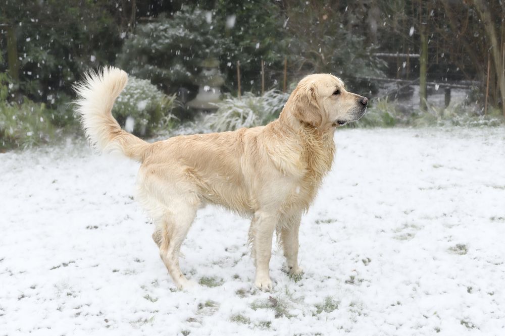 Photograph by Anja Jansen