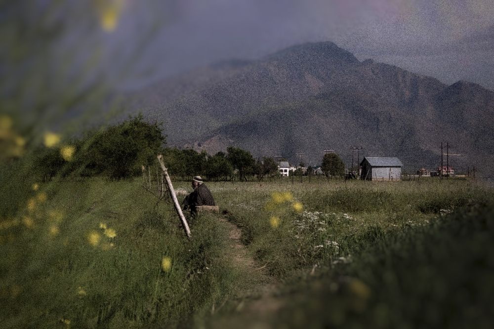 Photograph by Musaib iqbal bhat