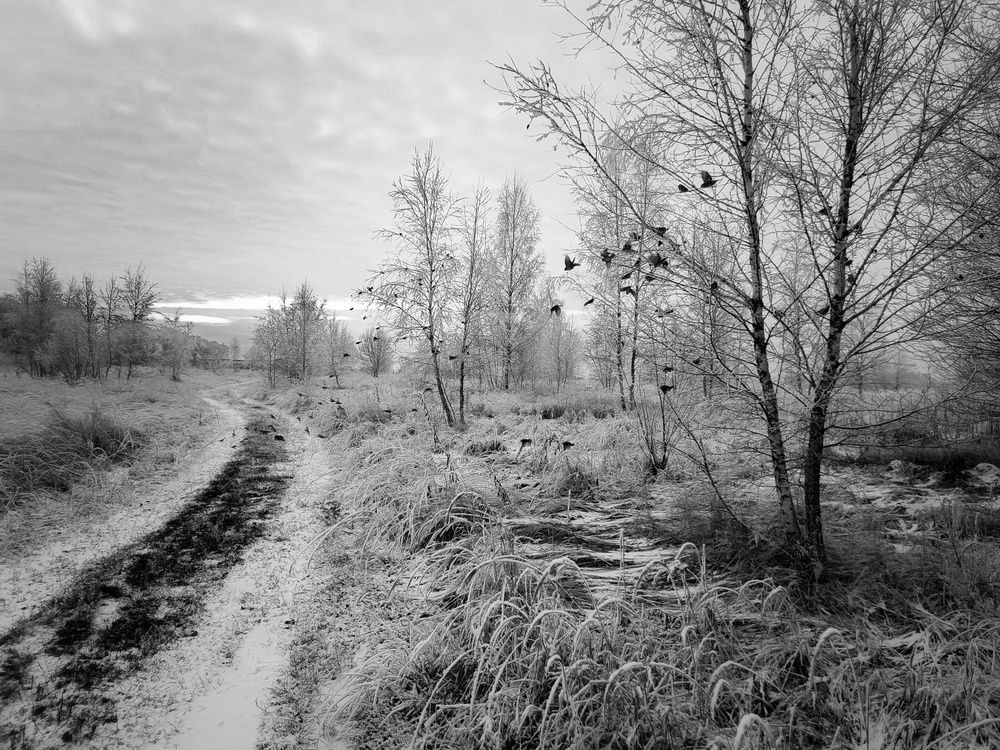 Photograph by Кондрашова Светлана