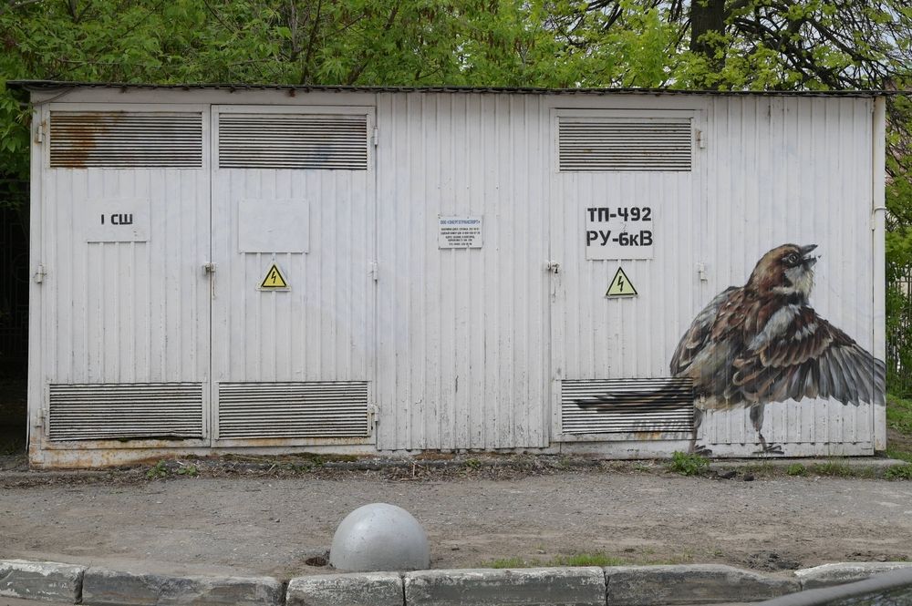 Photograph by Константин Кован