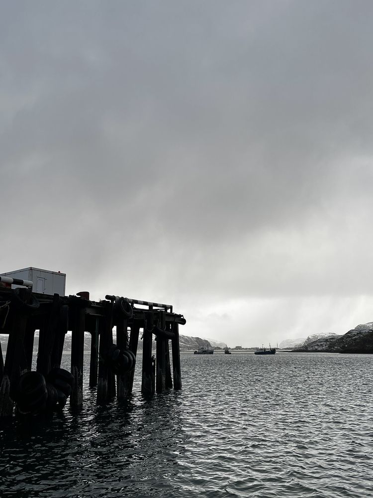 Фотография автора Виктория Говор