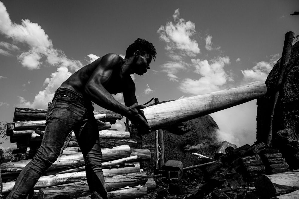 Photograph by FLAVIO SOUZA CRUZ