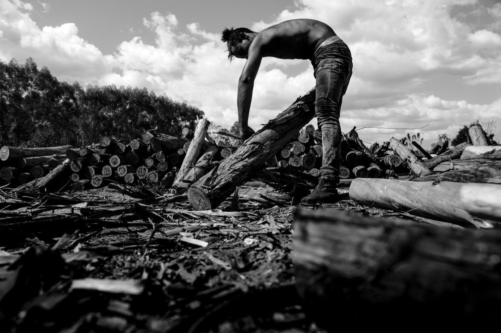 Photograph by FLAVIO SOUZA CRUZ