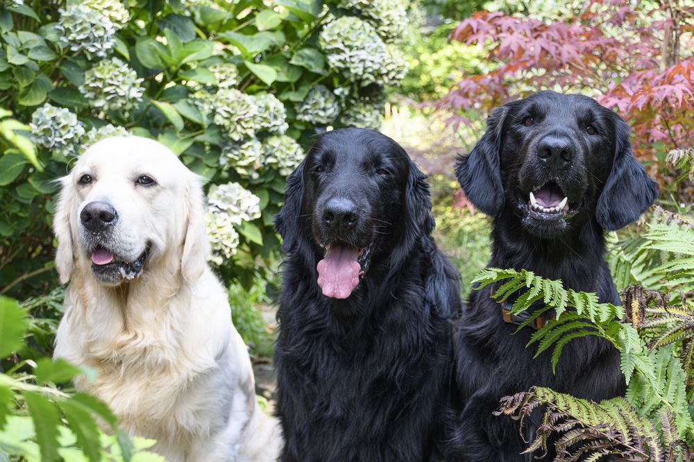 Photograph by Anja Jansen