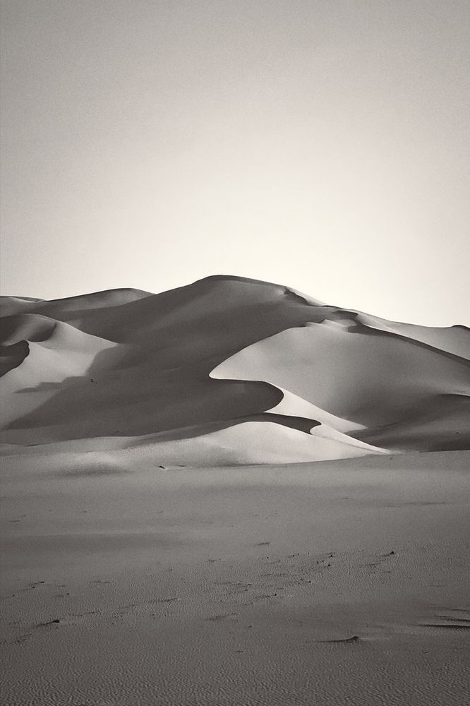 Фотография автора Maxine Noel