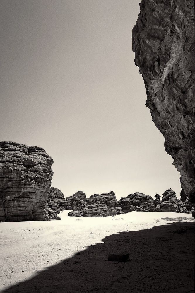 Фотография автора Maxine Noel