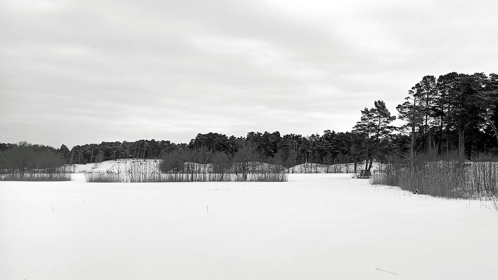 Photo #11863641