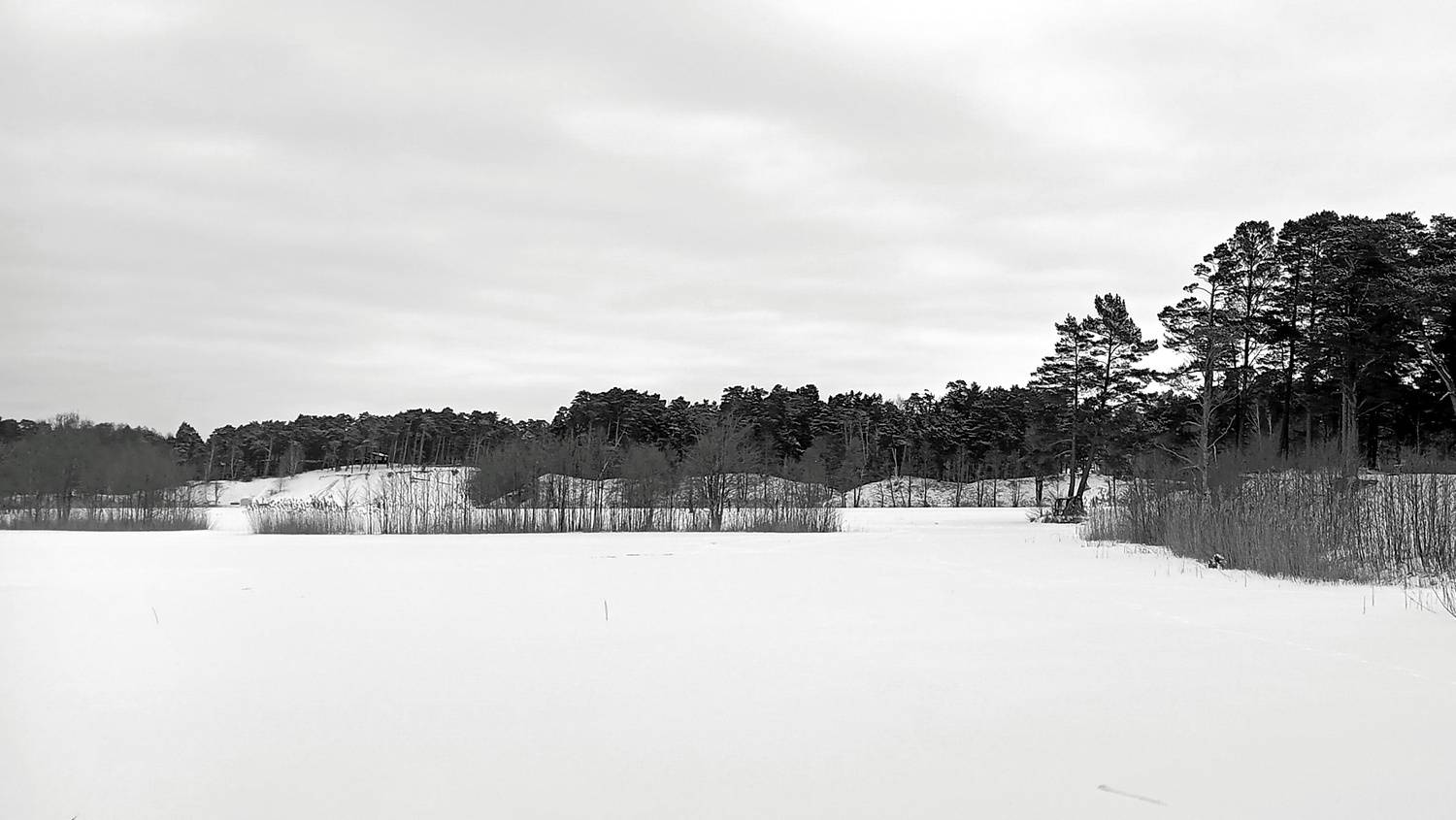 Photo #11863641