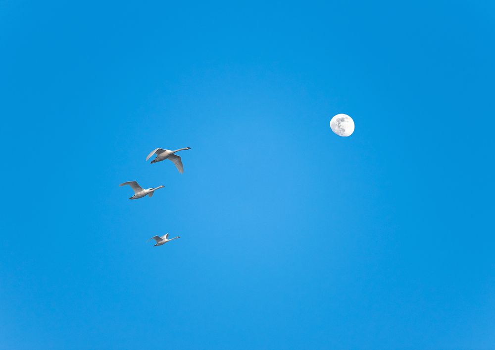 Photograph by Сергей Степанов