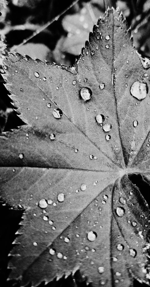 Фотография автора Valerya Vasileva