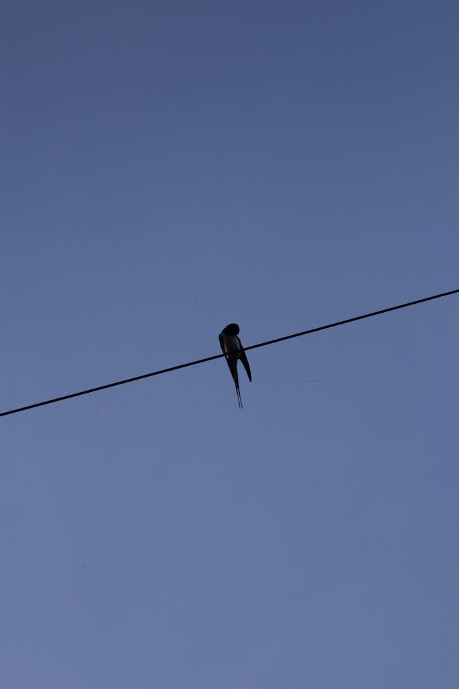 Photograph by Нелли