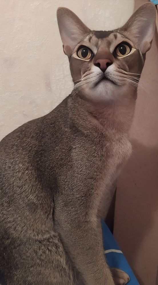 Photograph by Елена Сухорученкова