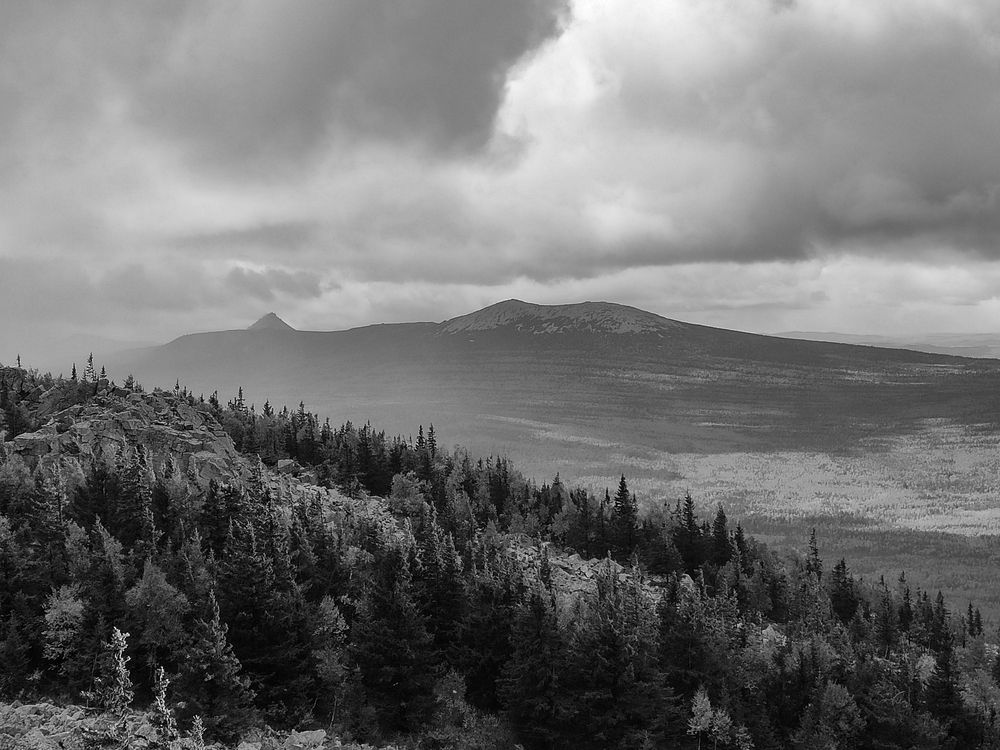 Фотография автора Антон Ульрих