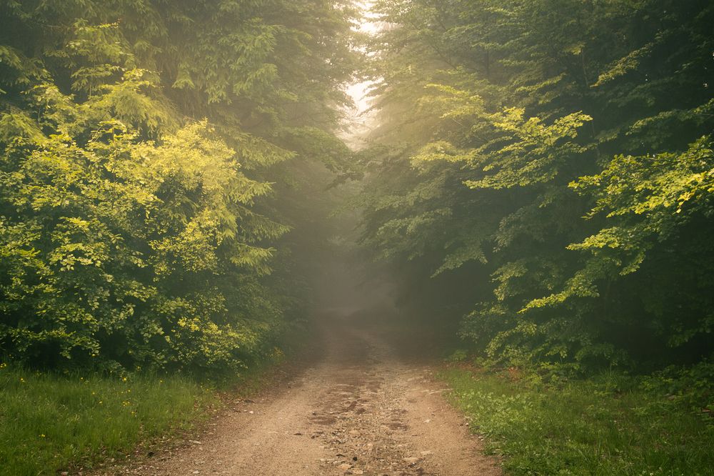 Photograph by Lukas Kulla