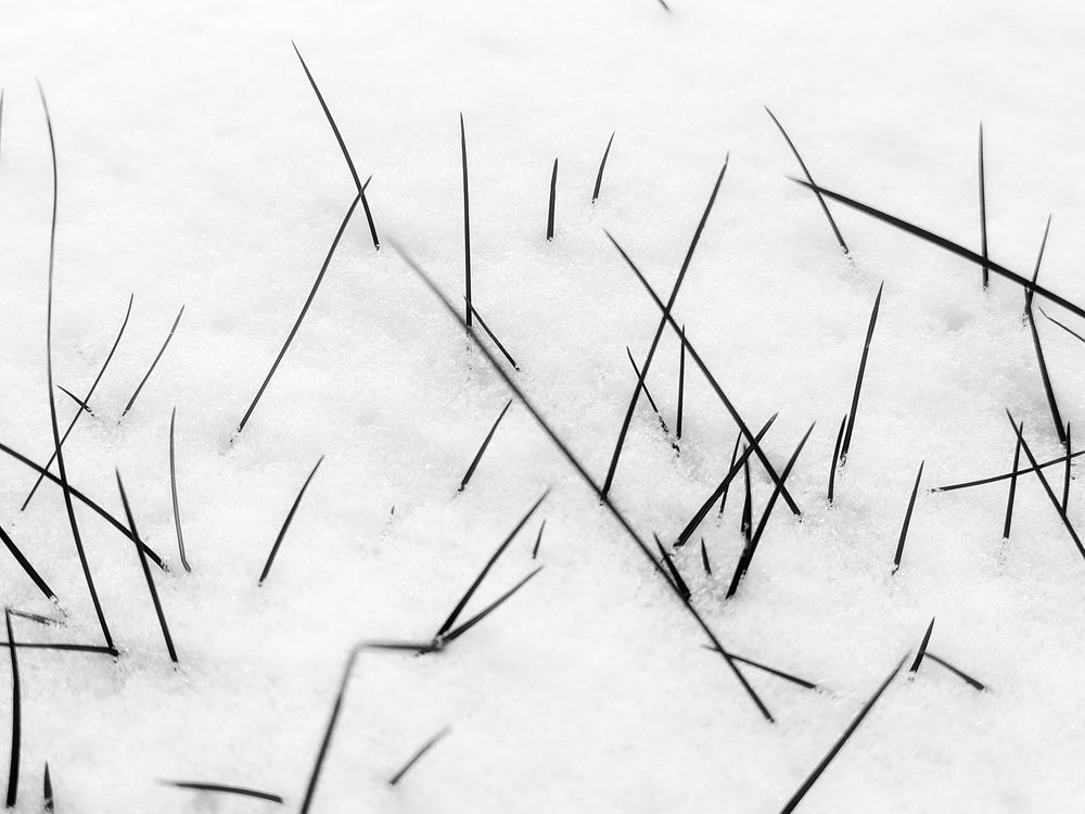 Фотография автора Антон Ульрих