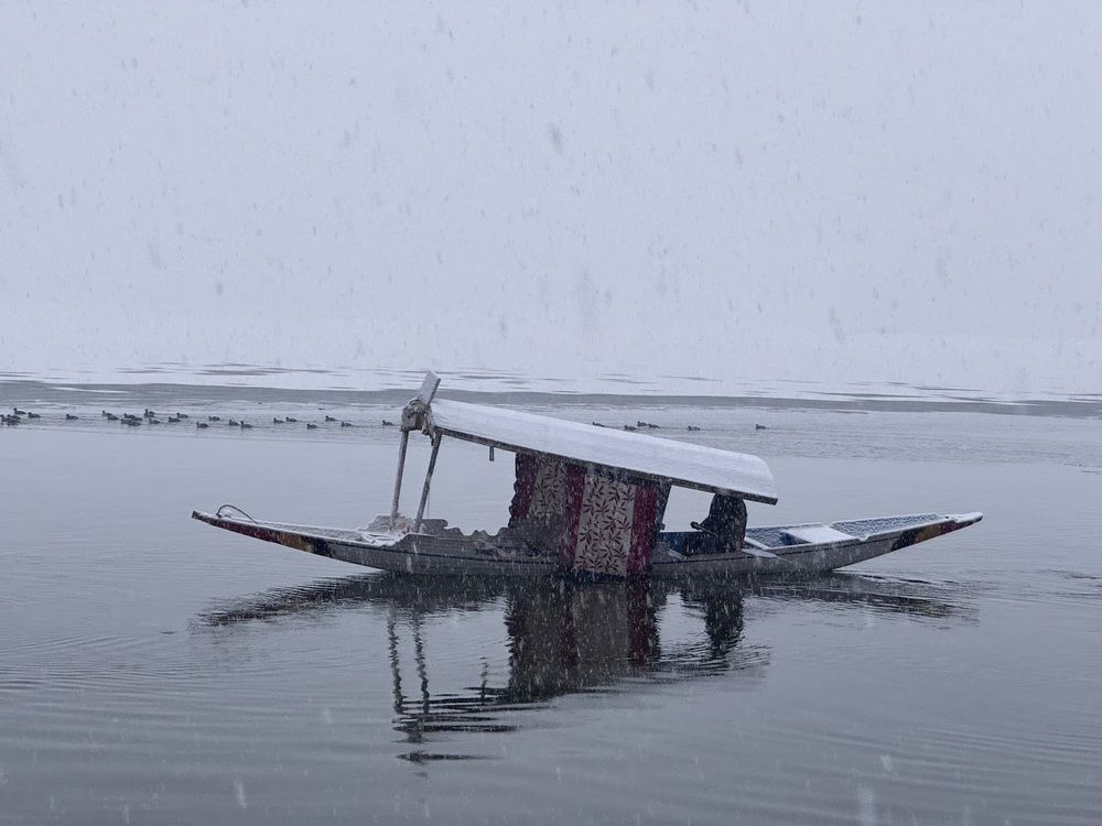 Photograph by Musaib iqbal bhat