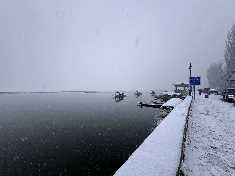 Photograph by Musaib iqbal bhat