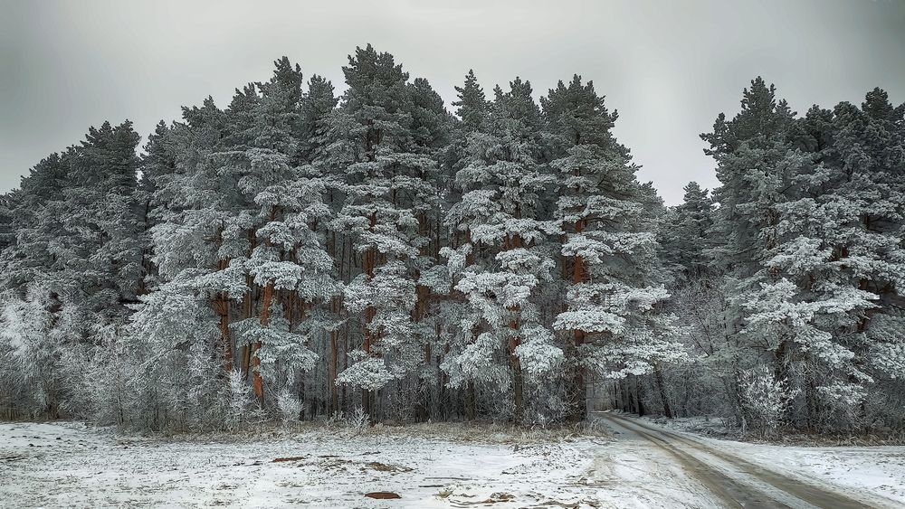 Photograph by Феофанов Николай