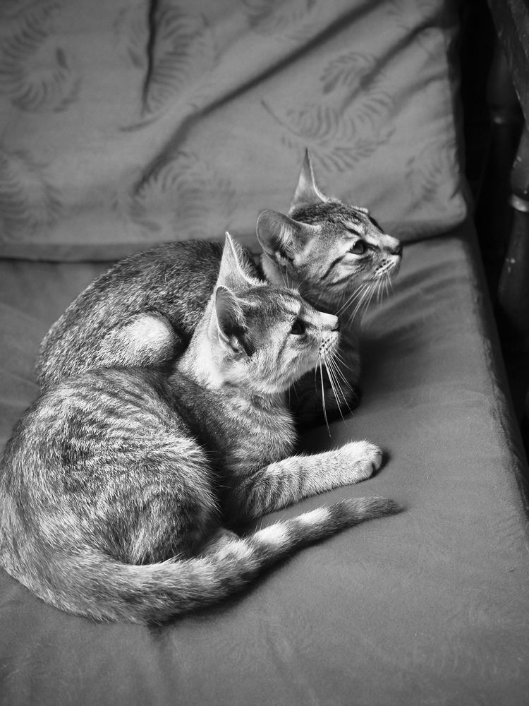 Photograph by Luis Manuel Jiménez Tabares