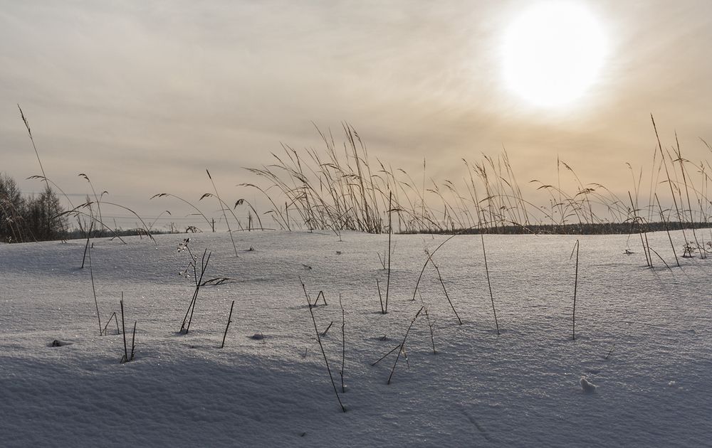 Photograph by Николай Кузьмин