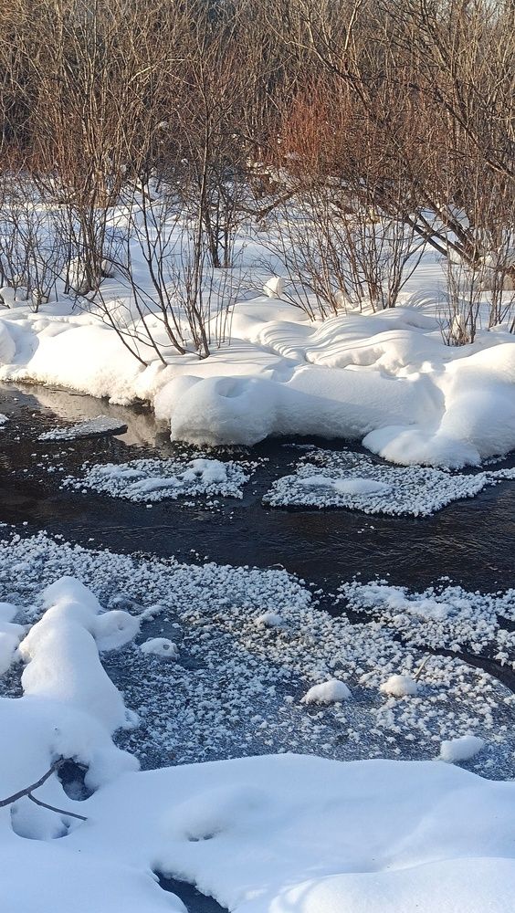 Зимняя река