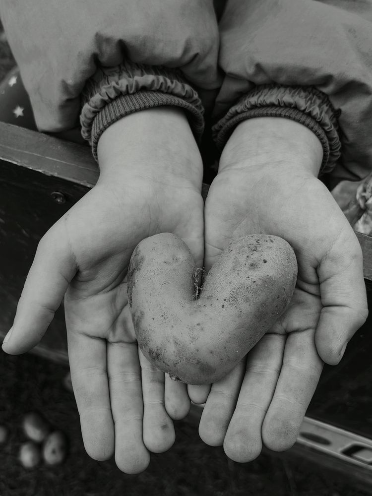 Фотография автора Ольга Панасюк