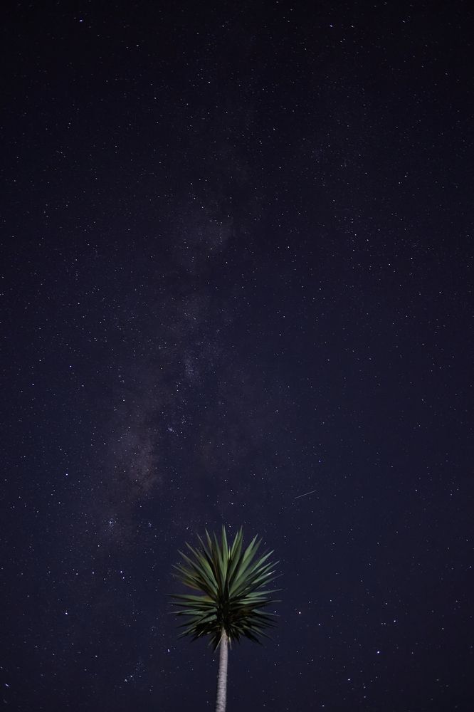 Photograph by Luis Manuel Jiménez Tabares