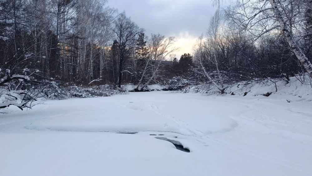 В  ледяном плену